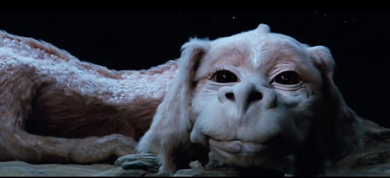 What kid didn’t want to be best buddies with Falkor?
